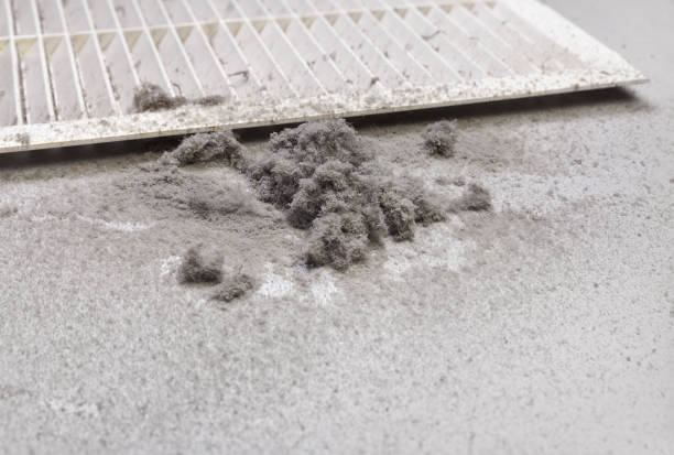 Best Affordable Air Duct Cleaning  in Lutherville, MD